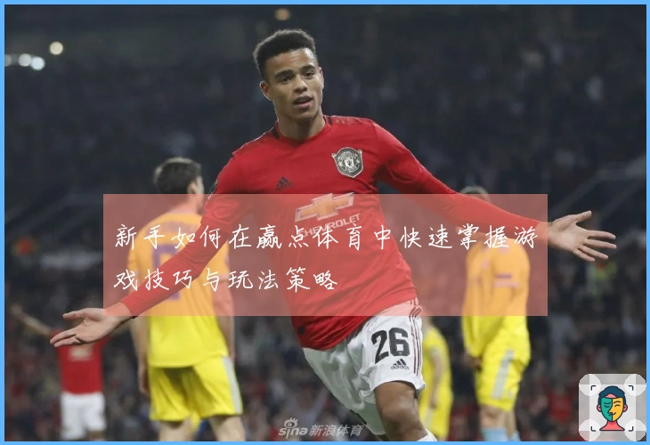 新手如何在赢点体育中快速掌握游戏技巧与玩法策略