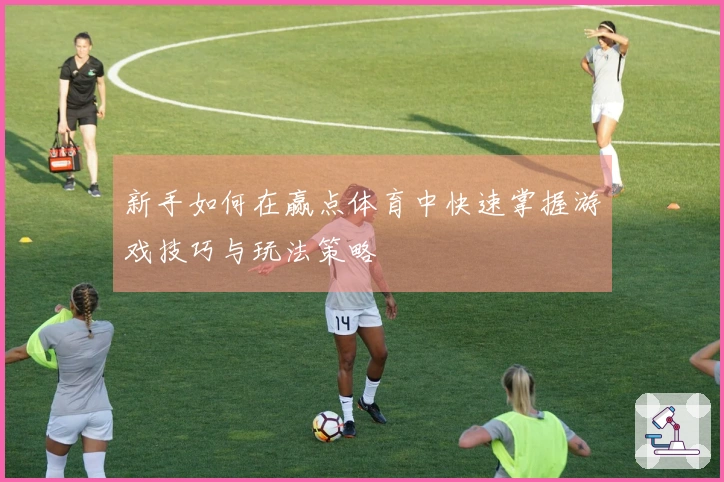 新手如何在赢点体育中快速掌握游戏技巧与玩法策略